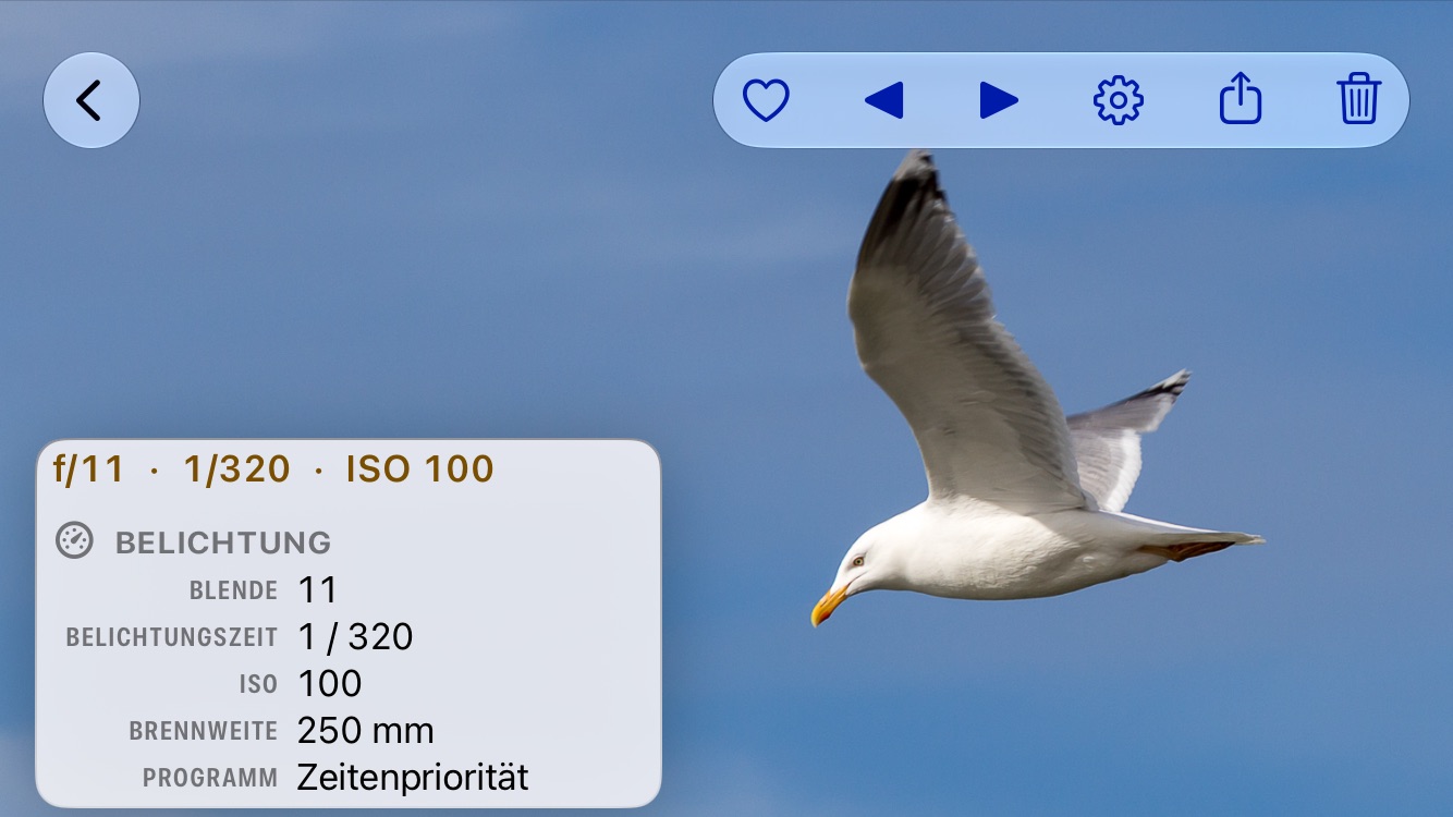 Eine M&ouml;we im Flug vor blauem Himmel, im Vollbild in PhotoView, mit dem Metadaten-Overlay unten links: f/11, 1/320 und ISO 100 in der obersten Zeile, darunter die Gruppe Belichtung mit 250 mm Brennweite und dem Programm Zeitenpriorit&auml;t