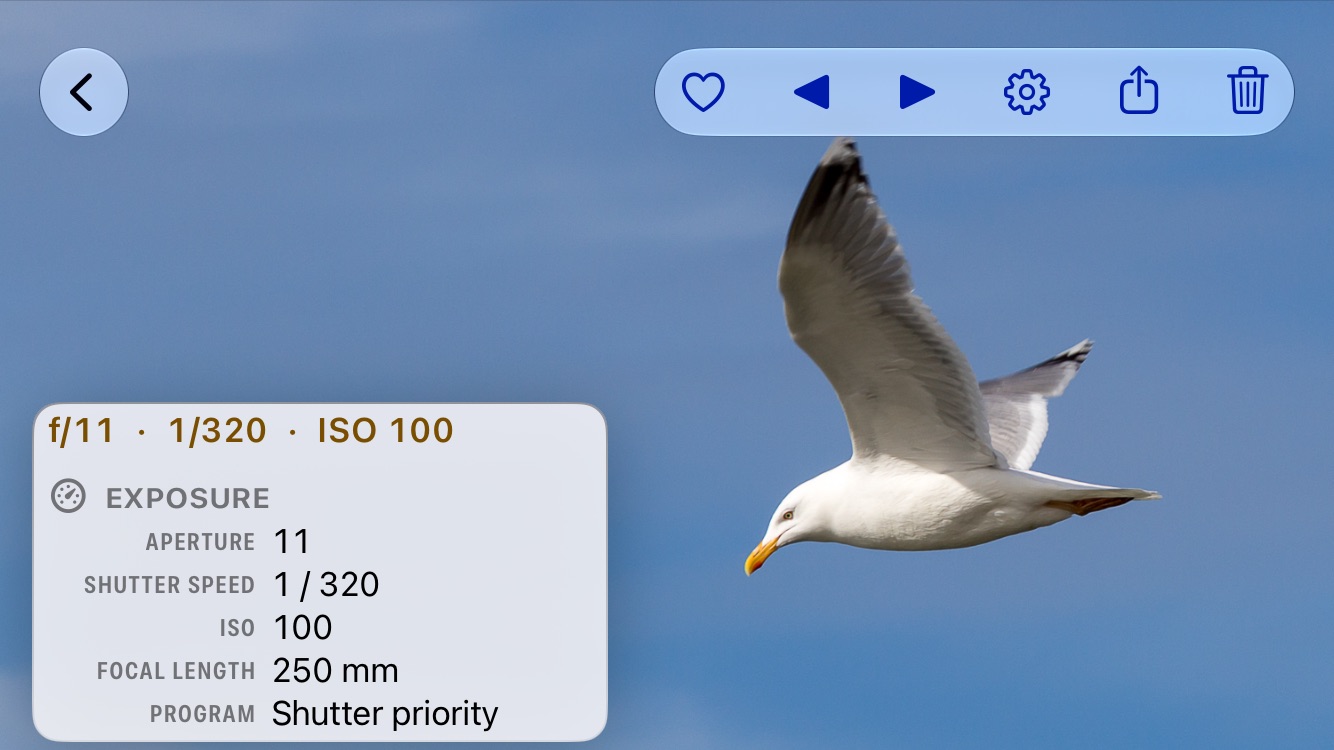 A gull in flight against a blue sky, full screen in PhotoView, with the metadata overlay in the lower left: f/11, 1/320 and ISO 100 on the top line, and below it the Exposure group with a focal length of 250 mm and the program Shutter priority