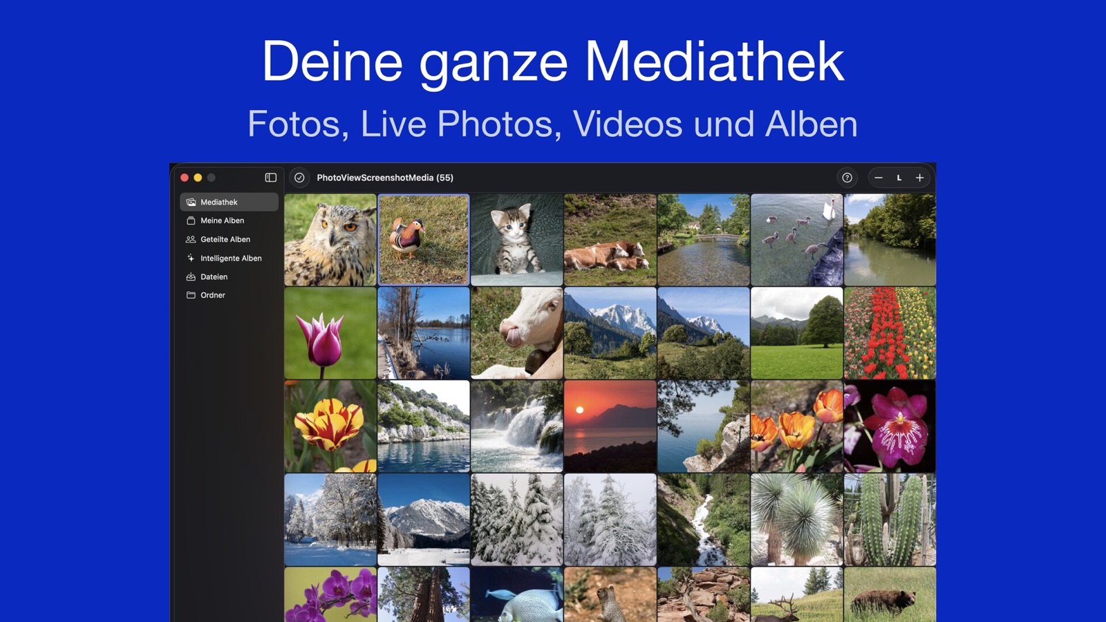 Das Miniaturraster von PhotoView auf dem Mac mit der Seitenleiste (Mediathek, Meine Alben, Geteilte Alben, Intelligente Alben, Dateien, Ordner) und der Steuerung f&uuml;r die Miniaturgr&ouml;&szlig;e oben rechts, dar&uuml;ber die &Uuml;berschrift &bdquo;Deine ganze Mediathek&ldquo;