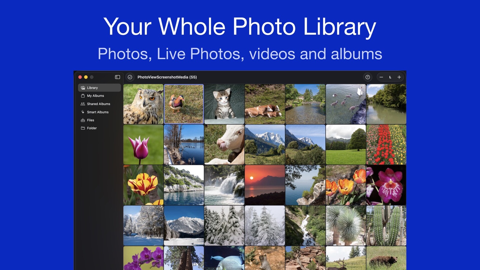 PhotoView&rsquo;s thumbnail grid on the Mac with the sidebar (Library, My Albums, Shared Albums, Smart Albums, Files, Folder) and the thumbnail size control at the top right, below the headline &ldquo;Your Whole Photo Library&rdquo;