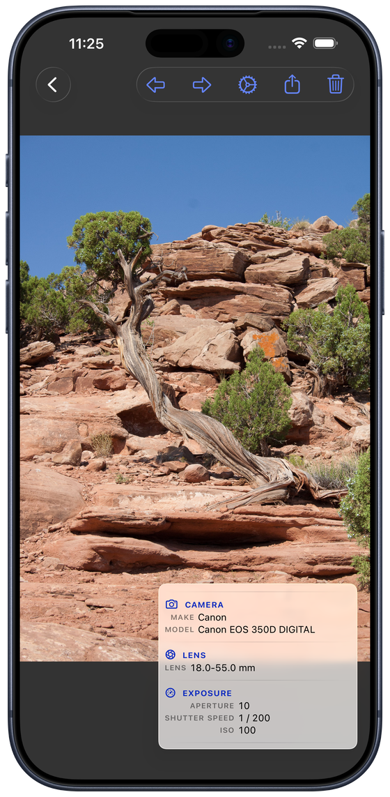 An iPhone showing a photo of a weathered juniper on red sandstone full screen in PhotoView, with the metadata overlay listing the camera make and model, the lens, and the aperture, shutter speed and ISO